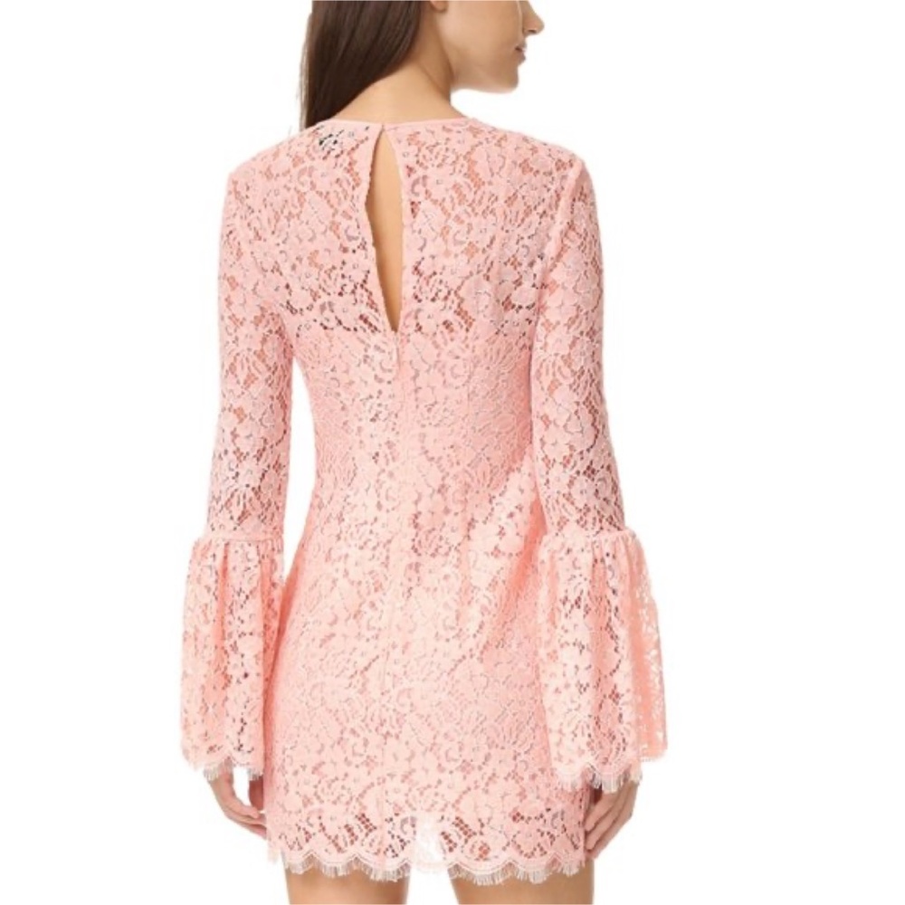 RACHEL ZOE Lace Pattern Mini Dress - Picture 2 of 15
